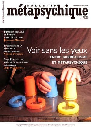 Couverture — Voir sans les yeux